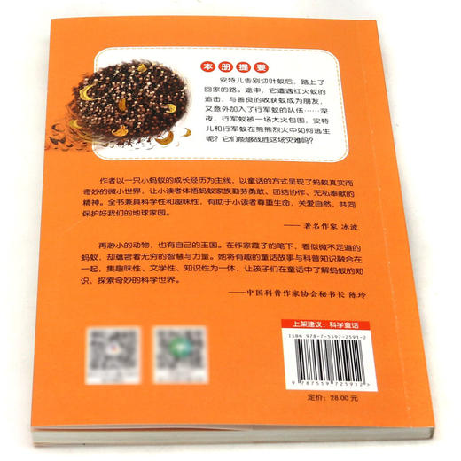不平凡的酷蚁安特儿(4飞跃火海的蚂蚁球彩图注音版) 商品图3