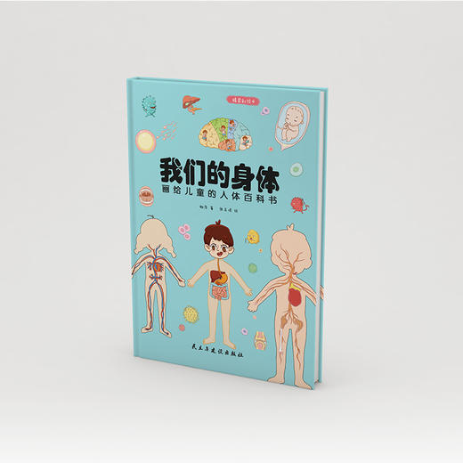 (仓发) 我们的身体:画给儿童的人体百科书（彩绘精装本）（只有全面的认识自己，才能更好的保护自己。）/民主与建设出版社/柳萍/9787513930659 商品图3