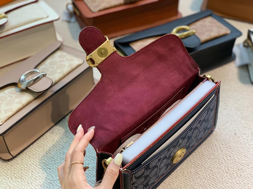 经典coac.h酒神包 高质量特价🉐️ 商品图8