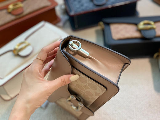 经典coac.h酒神包 高质量特价🉐️ 商品图6