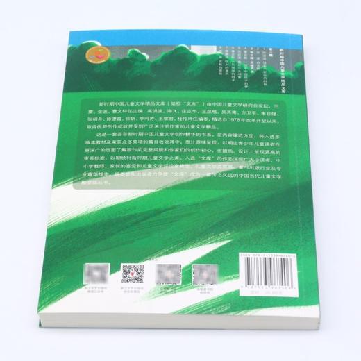 足球大侠/新时期中国儿童文学精品文库 商品图3