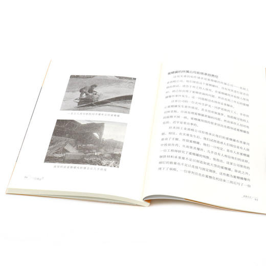 蜜糖危机/灾难求生 商品图4
