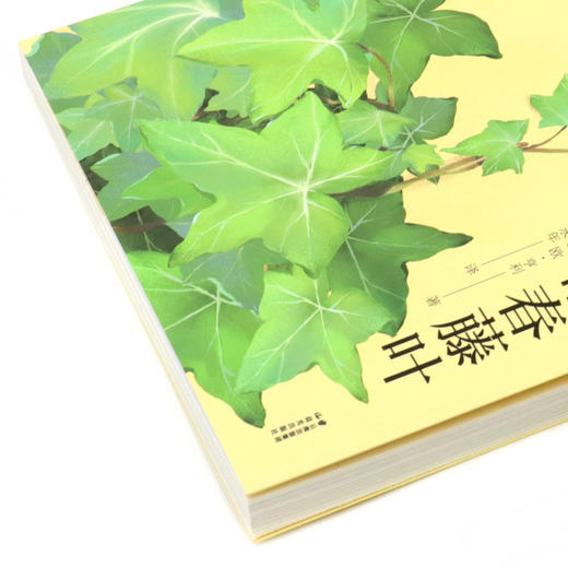 最后的常春藤叶(欧·亨利专集经典彩绘本)/美冠纯美阅读书系 商品图2