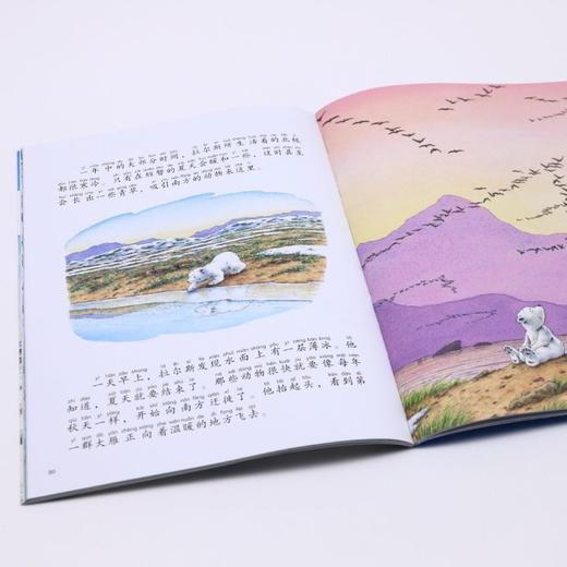 小北极熊的好主意(桥梁书版)/小北极熊系列 商品图3