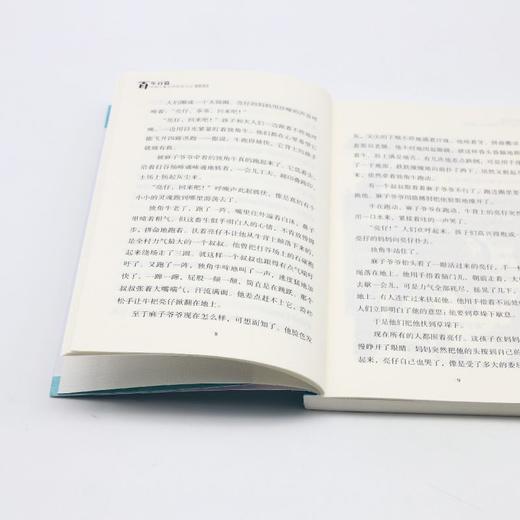 第十一根红布条/百年百篇中国儿童文学经典文丛 商品图4