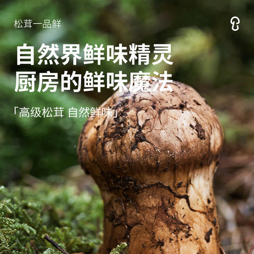 金标松茸鲜/经典素蚝油/松茸➕酿造酱油/鲜上更鲜 商品图4