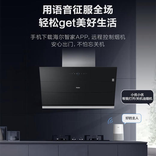 海尔（Haier）烟机CXW-219-C2900U1 商品图9