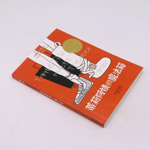 蒂莉阿姨的魔法箱/国际大奖小说 商品图1