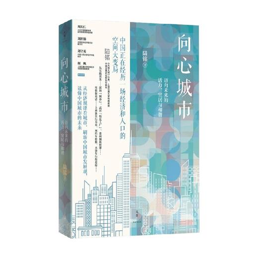 向心城市 迈向未来的活力 宜居与和谐 陆铭 著 中国经济中国经济史 商品图2