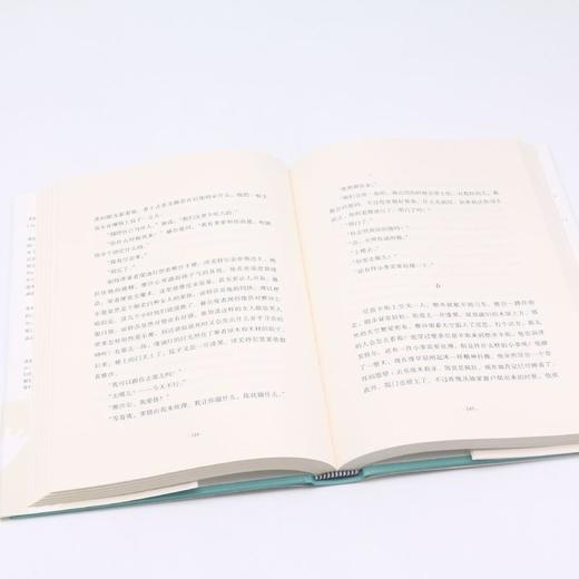 卢布林的魔术师(精) 商品图4