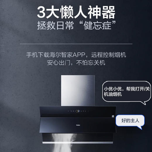 海尔（Haier）烟机CXW-258-C3901U1 商品图4