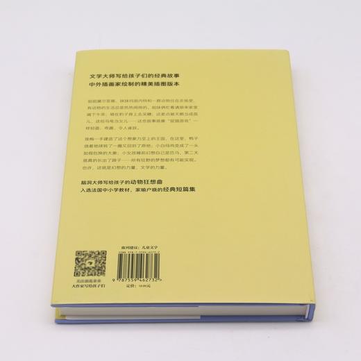 捉猫记(精)/大作家写给孩子们 商品图3