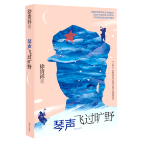 琴声飞过旷野