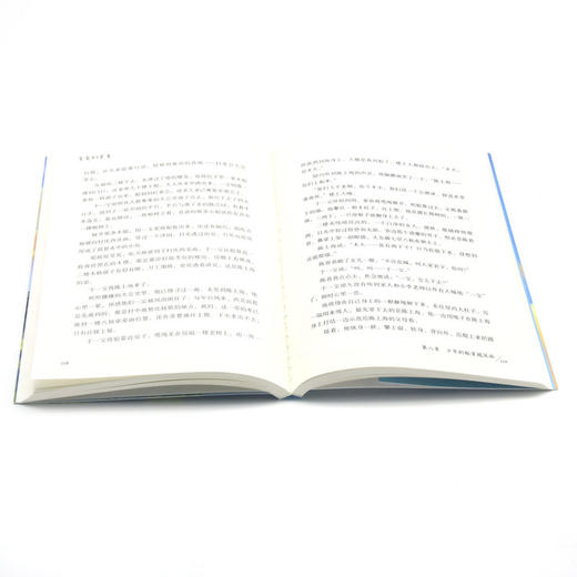 亲爱的笨蛋/新时代新成长原创儿童文学书系 商品图4