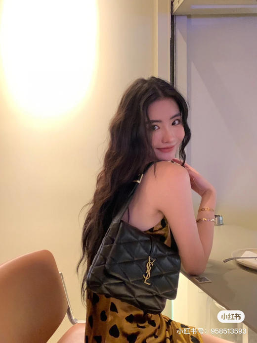 杨树林新款Le57腋下包 商品图2