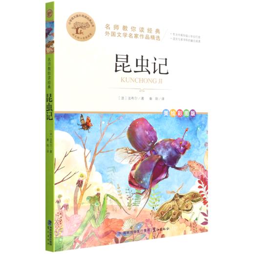昆虫记(美绘彩图版名师教你读经典)/小学语文课外阅读经典丛书 商品图0