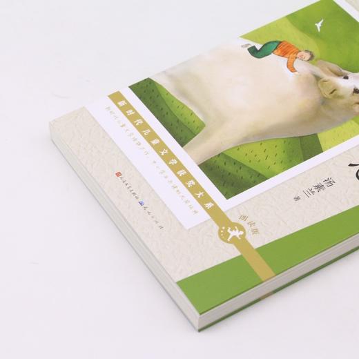 犇向绿心(朗读版)/新时代儿童文学获奖大系 商品图2