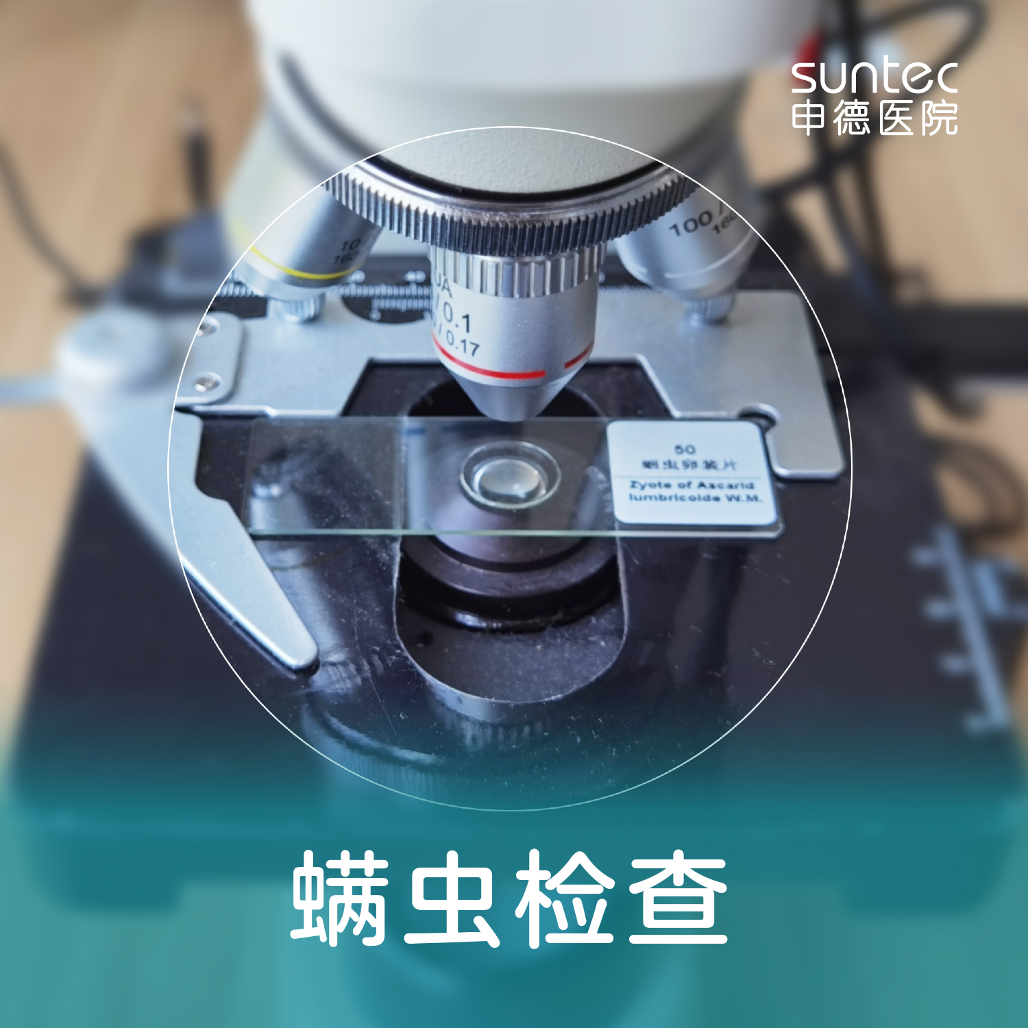 【眼科·螨虫检查】眼痒、麦粒肿、螨虫感染