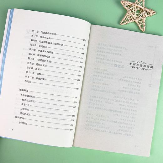 (仓发) 爱丽丝漫游仙境 又名爱丽丝漫游奇境 快乐读书吧六年级下册推荐阅读 无障碍阅读 小学生课外推荐阅读书目 有习题/南方出版社/[英]刘易斯·卡罗尔/9787550169388 商品图9