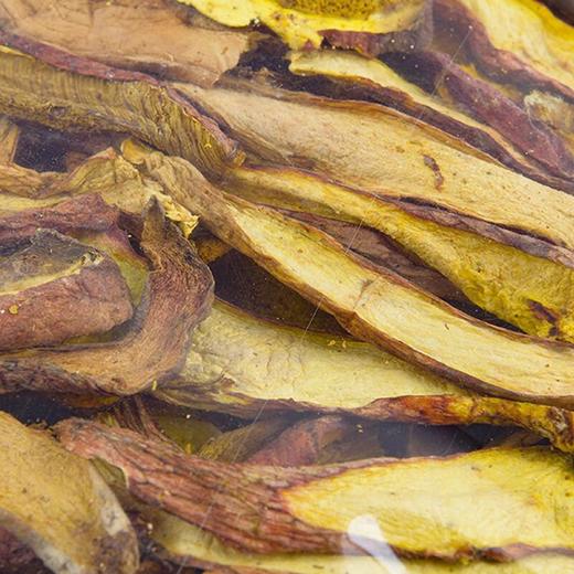 云南天齐野生牛肝菌80g 商品图2