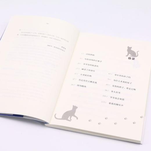 小猫蓝眼睛/金芦苇国际大奖书系 商品图3