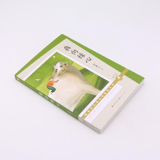 犇向绿心(朗读版)/新时代儿童文学获奖大系 商品图1