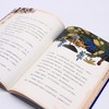 卷毛漫游世界历史(远古时代卷1来自宇宙的猫) 商品缩略图4