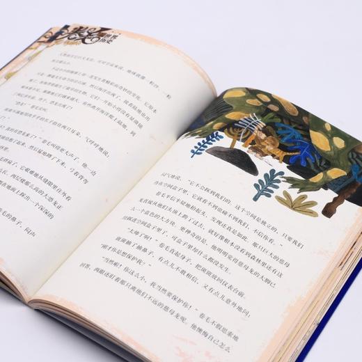 卷毛漫游世界历史(远古时代卷1来自宇宙的猫) 商品图4