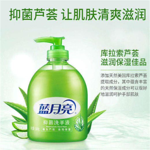 蓝月亮 抑菌洗手液500g*2+抑菌洗手液瓶补500g*2 商品图3