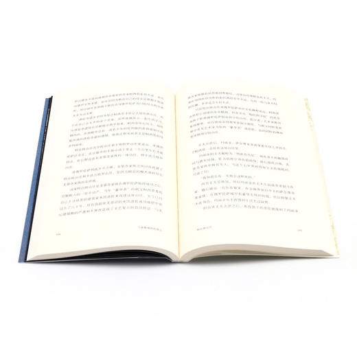 文艺复兴小说(马基雅维利的预言) 商品图4