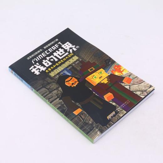 城堡里的男巫师/史蒂夫和爱丽克丝大冒险/我的世界 商品图1