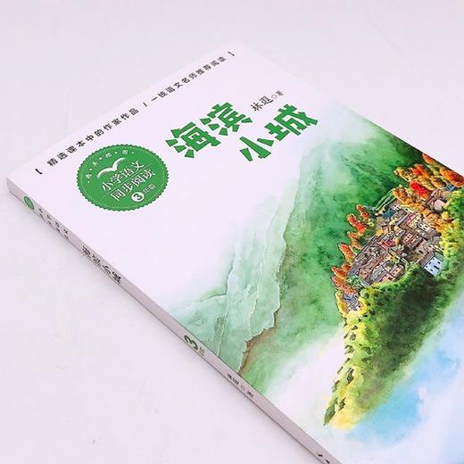 海滨小城(3年级精美插图)/小学语文同步阅读 商品图1