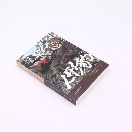 人形豹/明智小五郎系列/江户川乱步全集 商品图1