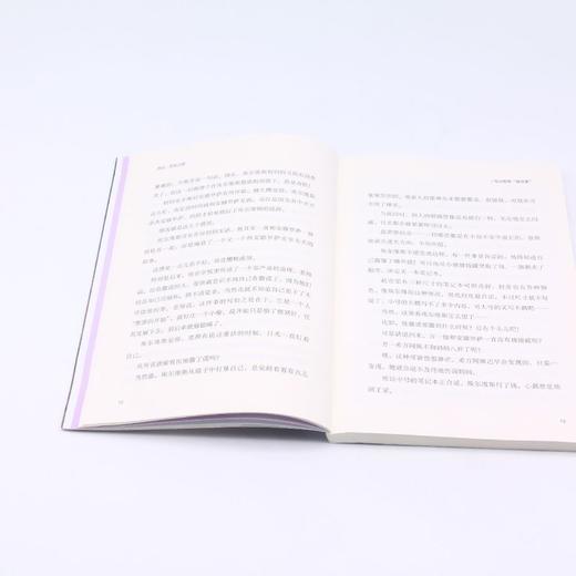 再见谎言之国/安徒生奖大师经典埃尔维斯成长记 商品图4