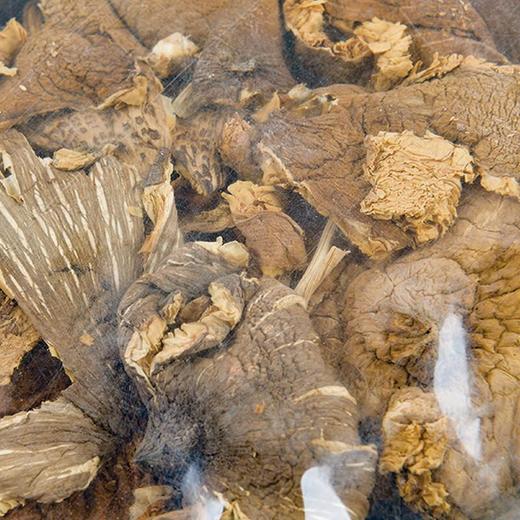 云南天齐野生鸡枞菌100g（袋） 商品图2
