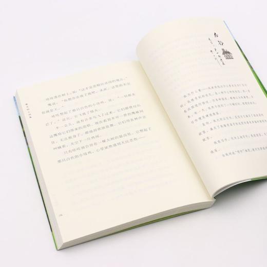 兔子庄园/曹文轩小说集 商品图4