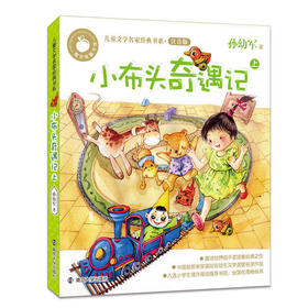 小布头奇遇记(注音版上)/儿童文学名家经典书系