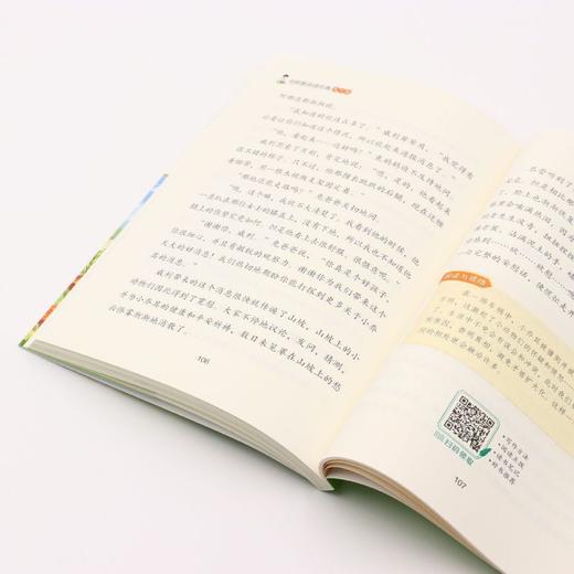 兔子坡(美绘彩图版名师教你读经典)/小学语文课外阅读经典丛书 商品图4