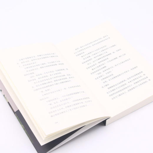 绿衣人/明智小五郎系列/江户川乱步全集 商品图4
