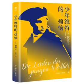 少年维特的烦恼