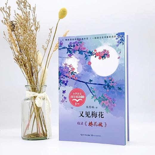 又见梅花(收录梅花魂5下)/小学语文同步阅读书系 商品图4