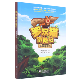 罗汉猫历险记(1展翅高飞)