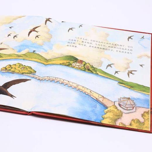 我的飞鸟朋友(共4册)(精) 商品图4