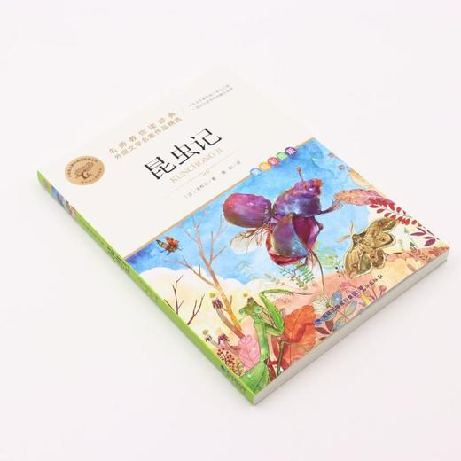 昆虫记(美绘彩图版名师教你读经典)/小学语文课外阅读经典丛书 商品图1