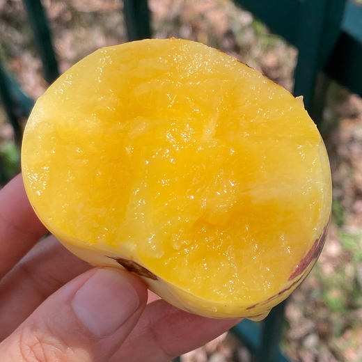 云南有机人参果  |  这个小果子长得好奇怪，味道也很特别，看起来硬硬的，吃起来细密软，水分超足，又香又甜~ 商品图2