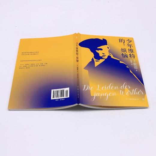 少年维特的烦恼 商品图3
