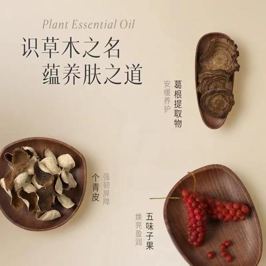 逐本天然卸妆油 自在 晨蜜 森韵 四代 商品图4