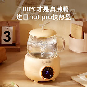 【坂田釜作】电炖养生杯