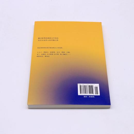 少年维特的烦恼 商品图2