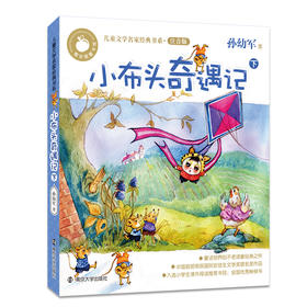 小布头奇遇记(注音版下)/儿童文学名家经典书系